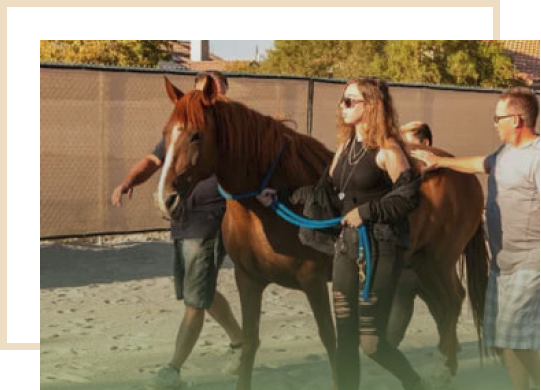 Equine Facilitated Therapy