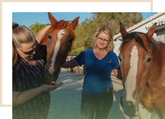 Healing Hooves Treatments